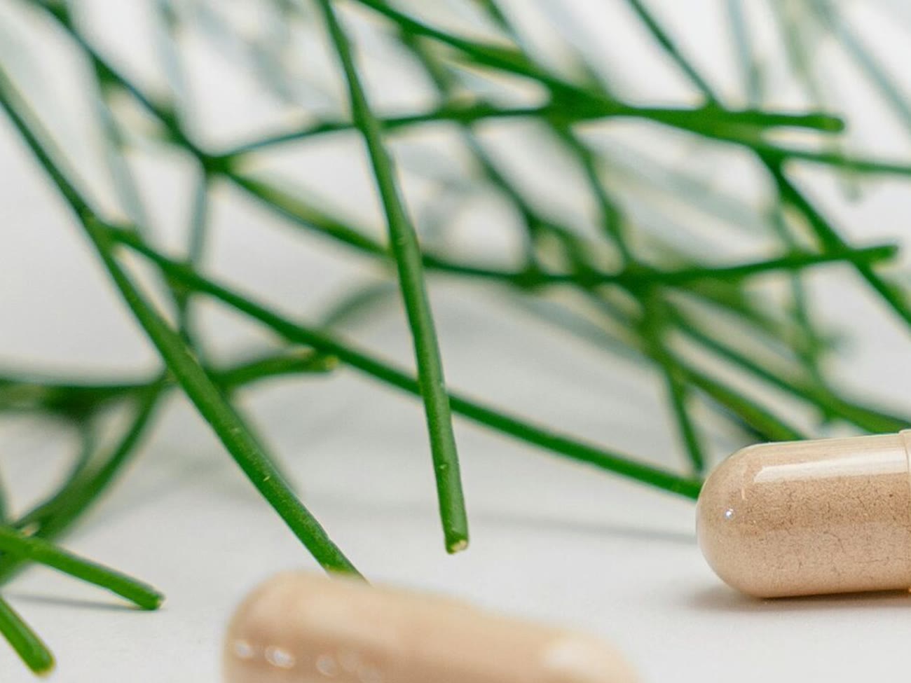 Botanical stems beside supplement capsules