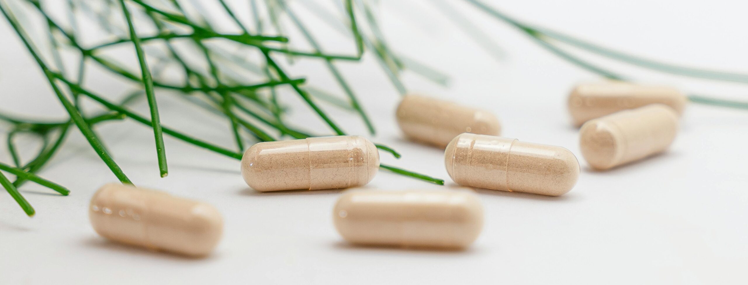 Herbal supplement capsules beside green stems